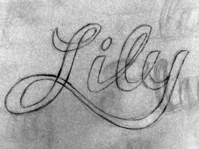 Lily hand lettering design hand lettering lettering sketch