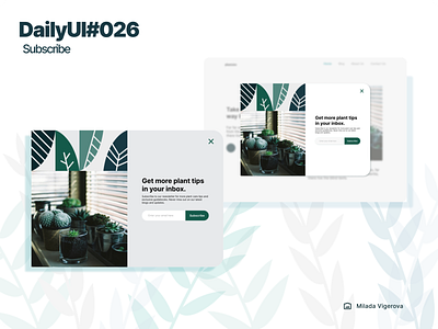 Daily UI Challenge #026 || Subscribe