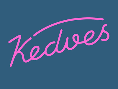 Kedves budapest design hungarian lettering neon neonlights neonsign neontubes typographic typography vector vintage