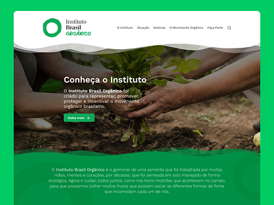 Brazilian Organic Institute - Website Design hero image institute organic food website design