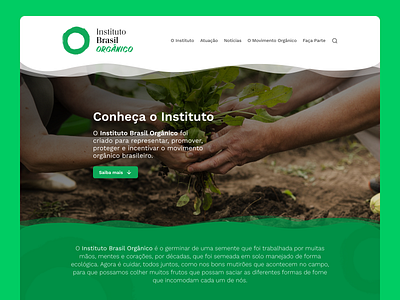 Brazilian Organic Institute - Website Design