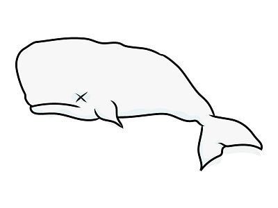 Dead Whale dead illustration whale