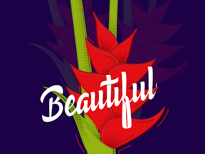 beautiful letering and illustration flowers graphicdesign illustration lettering letters vector