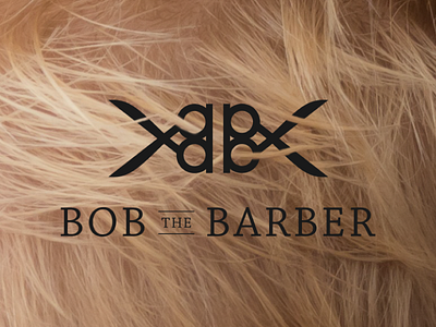 the daily logo challenge Bob Barber