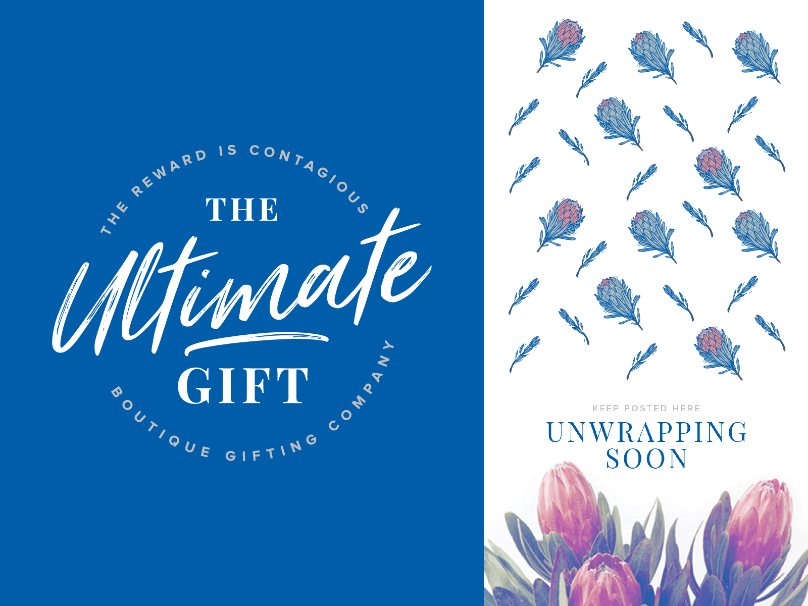 Gift wrapping blue brand identity branding cape town color design flower flowers gift hand drawn illustration lettering logo present protea reward script wrapping paper