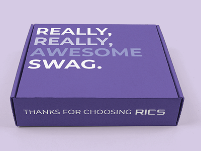 RICS Swag Mailer Idea design mailer mailer design mailers package package design promotional promotional design saas