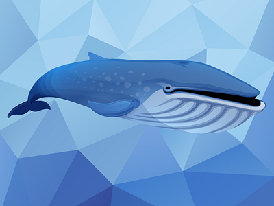 Blue Whale - Book Cover Detail