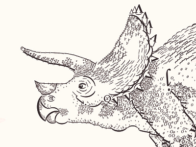 Dinotype anatomy dinosaur lettering texture triceratops type typography