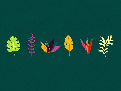 Jungle Plant Leaves graphic design illustration jungle leaves plants visual design
