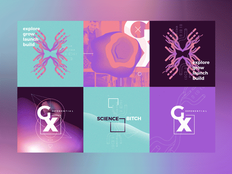 GRIDX. collaterals B branding entrepeneur logo molecule science startup typography ui ux zoom