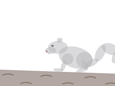 Falling Acorn acorn animals fall motion design squirrel