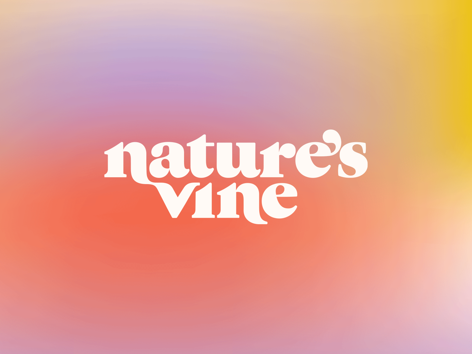 Nature's Vine Tea 70s branding cbd color custom gradient graphic design groovy lettering logo natures tea type typography vine weed