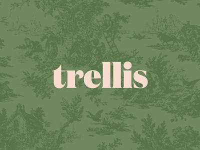 Trellis branding custom logo logotype pink serif southern toile vintage women