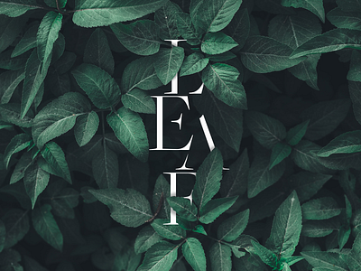 Typographic Leaf Logo