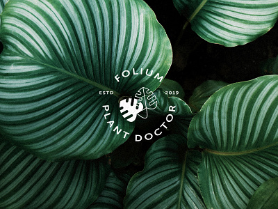 Folium Plant Doctor concept floral flower flowers foliage graphicdesign leaf leaves logo designer logo mark minimal minimalist monstera nature outdoors plant doctor plants sans serif typography woods