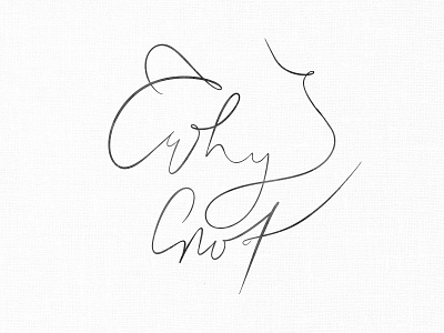 Why Not Handwritten Caligraphy artist calligraphy calligraphy and lettering artist calligraphy artist calligraphy font elegant feminine font flourishes graphic design hand written illustration ipad luxurious procreate professional script script lettering type art typography wedding