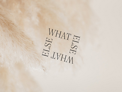 What Else Inspiration Quote beige brown comfortable design elegant design graphic designer minimal serif fonts serif typeface serifs soft type art typedesign typeface typographic typography warm what else