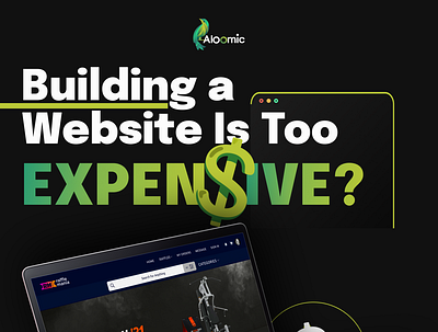 Building Website Expensive? webdesigingagency webdesign webdesigncost webdesigning