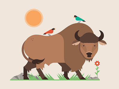 Buffalo animals bird bison buffalo flower geometric geometry nature vector