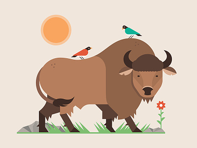 Let's Go Buffalo by Erikas on Dribbble