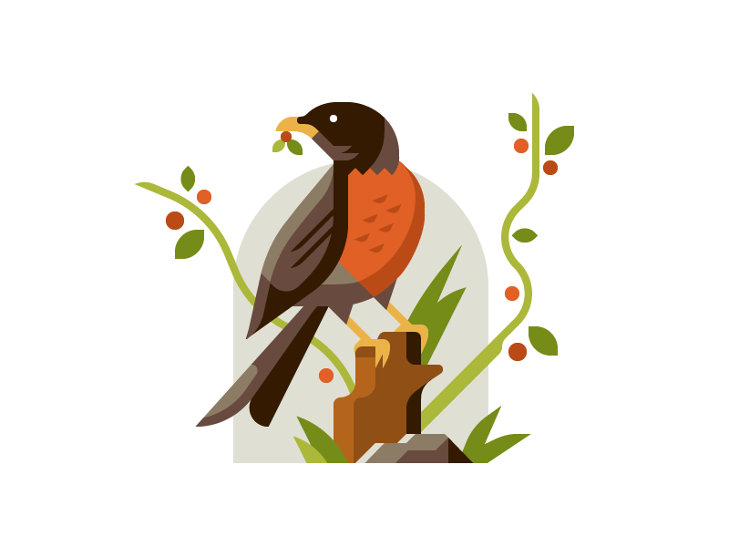 A Robin spring abstract feather bird rock branch leaves berries robin