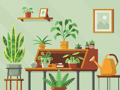 Houseplants – Spread Privacy: Donations book cactus desk fern houseplants leaf plants relaxing snake plant succulent watering can