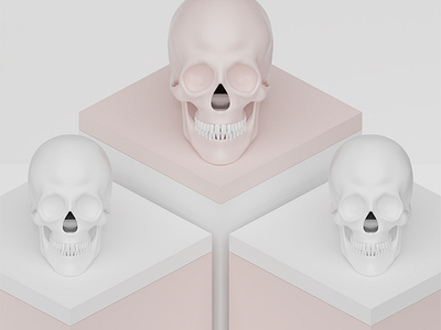 3D Skull