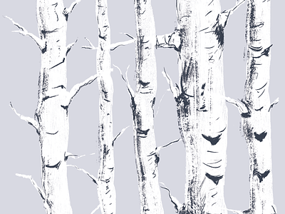 Study of Birch Trees birch illustration pattern texture trees