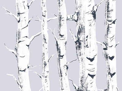 Study of Birch Trees