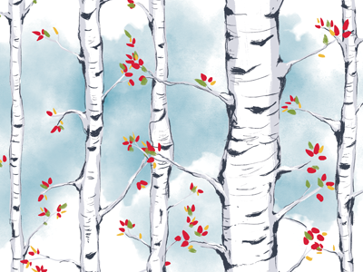 Birch Study 2 photoshop watercolor texture pattern illustration trees birch