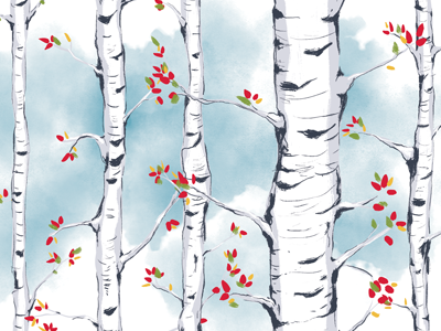 Birch Study 2 birch illustration pattern photoshop texture trees watercolor