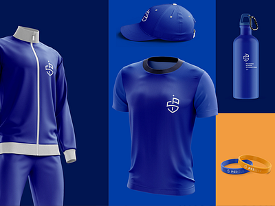 Psi Logo Presention blue brand coat of arm logo orange presentation psi rebranding school sport