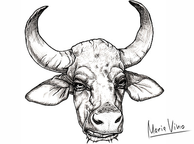 Bull animal blackwhite illustration