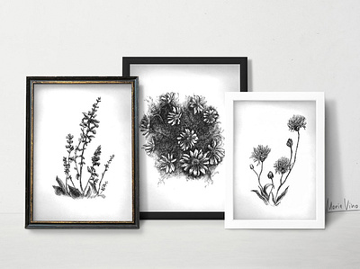 Botanical illustrations blackwhite book botanical fabric floral