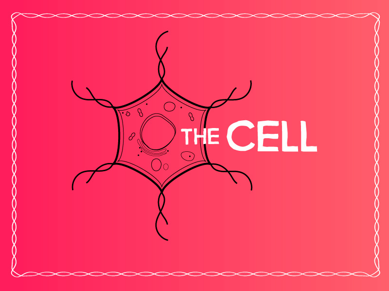 The Cell Logo gradient molecular dna pink design organization cell