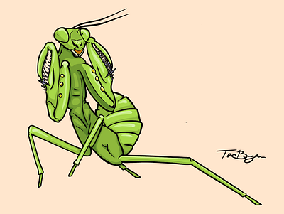 Kevin the mantis illustration mantis