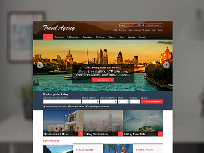 Travel Agency Website