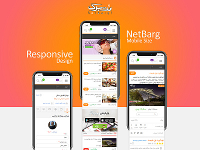 NetBarg (daily deal website) daily deals deals coupons landing page netbarg profile ui ux web webdesign website