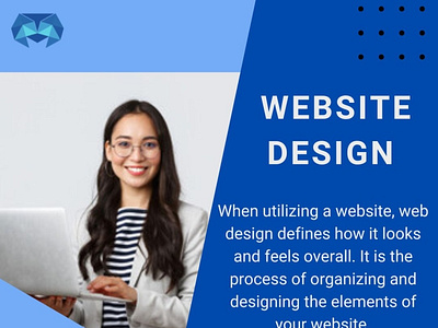 Website design company in Uttam Nagar website design website design company website designer