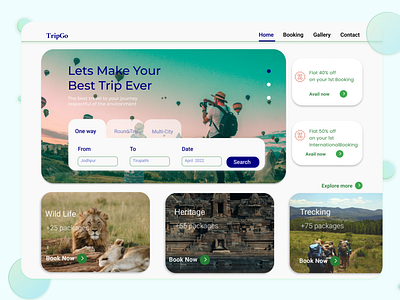 Travel Site Landing Page