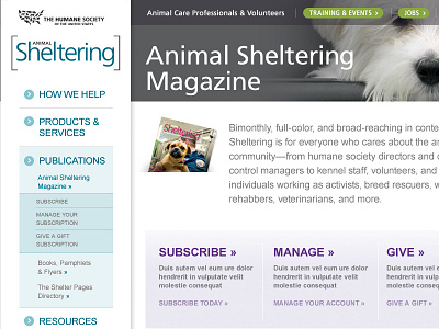 The Humane Society Templates animals website