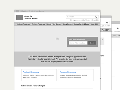 NIH CSR Desktop Wireframes wireframes