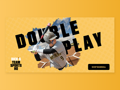 DICK's TSHQ Banner baseball web banner web design