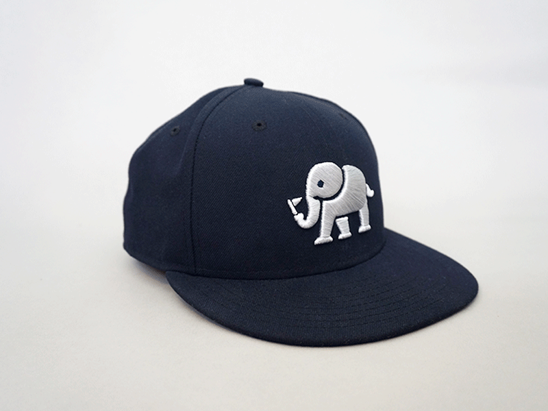 Paradesmith Hat hat logo swag