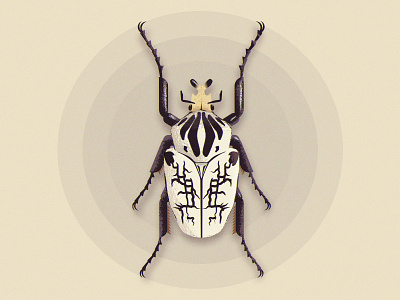 Vector Beetle