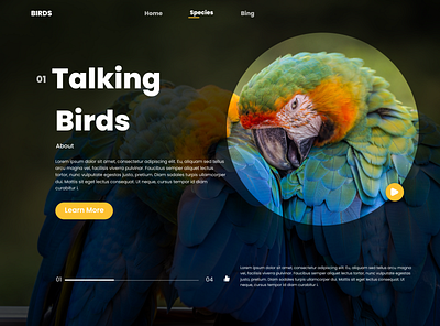 Talking birds landing page app branding design graphic design typography ui ux