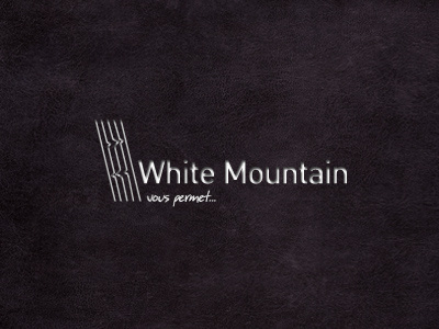 White mountain lines logo mountain