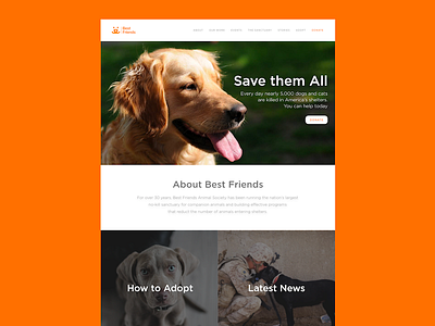 Best Friends Animal Society Concept adoption animals best friends clean concept modern pet shelter ui website