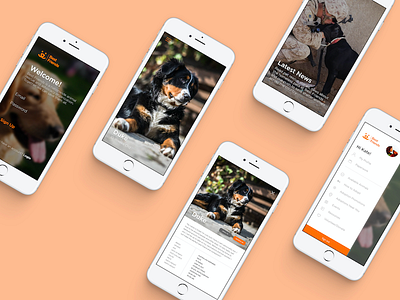Best Friends Animal Society App Concept adoption app best friends concept login menu mobile pet shelter ui ux