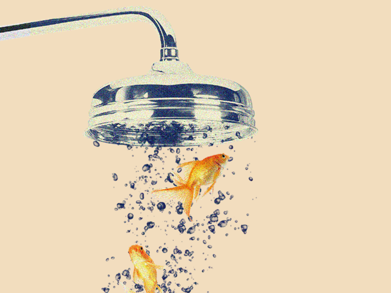Plot Twist image manipulation shower head gold fish